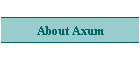 About Axum