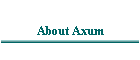 About Axum