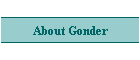 About Gonder
