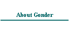 About Gonder
