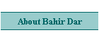 About Bahir Dar
